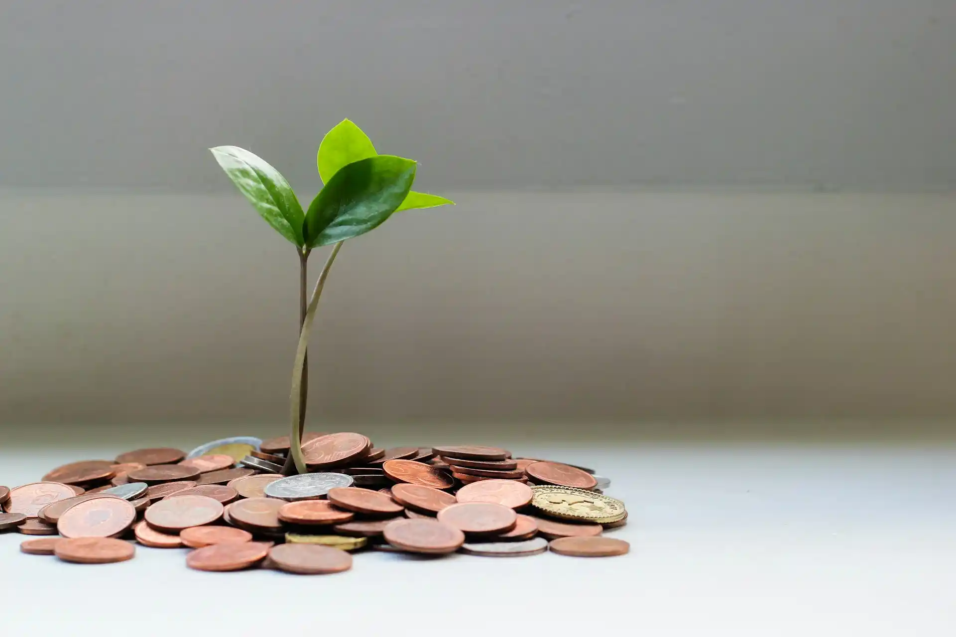 Discover how sustainable investing in frontier markets is transforming economies through ESG principles and innovative strategies that go beyond traditional metrics.