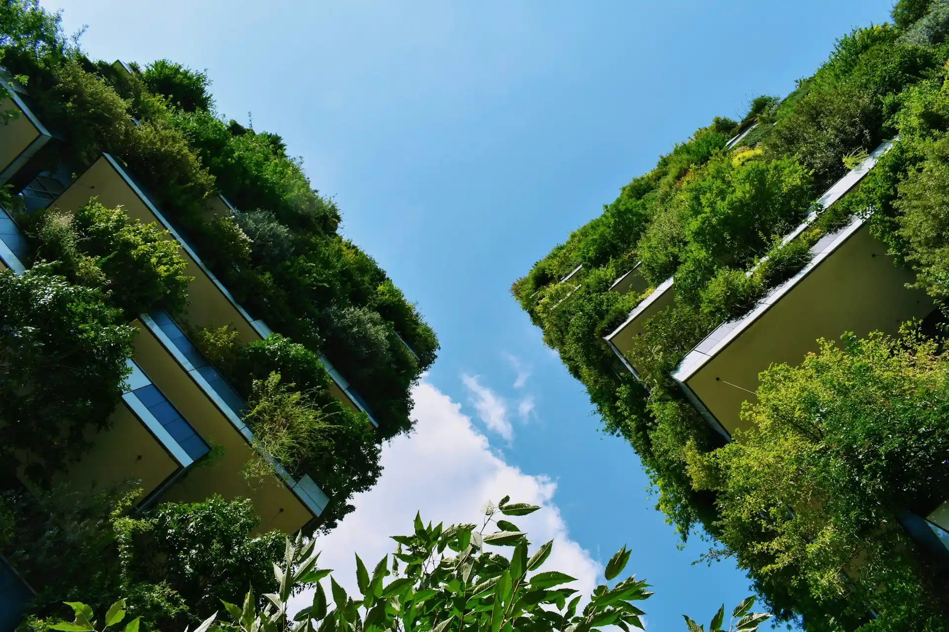 Discover how sustainable architecture, smart energy systems, and eco-friendly materials are transforming property value and investor strategy. Learn why green building are the future of real estate investment.